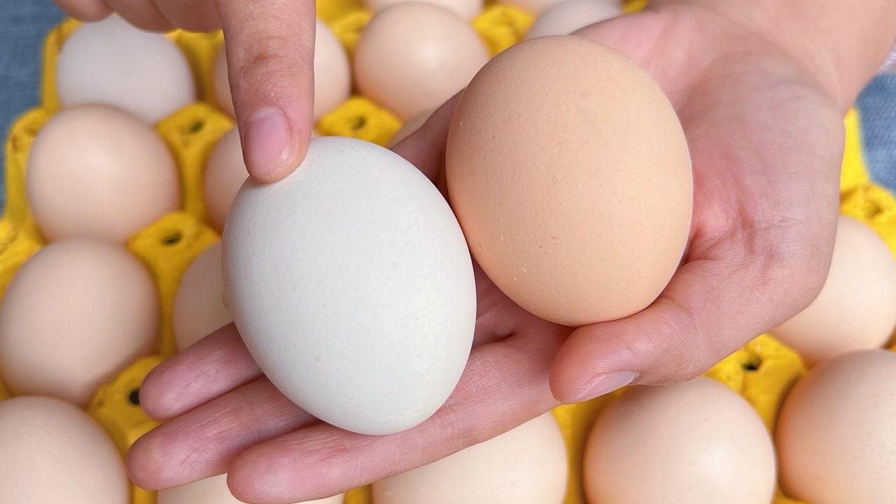红壳鸡蛋比普通鸡蛋更有营养？